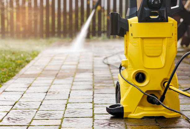 Animal Enclosure Cleaning in Olivia, MN